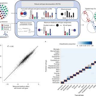 rctd526|Robust decomposition of cell type mixtures in spatial.